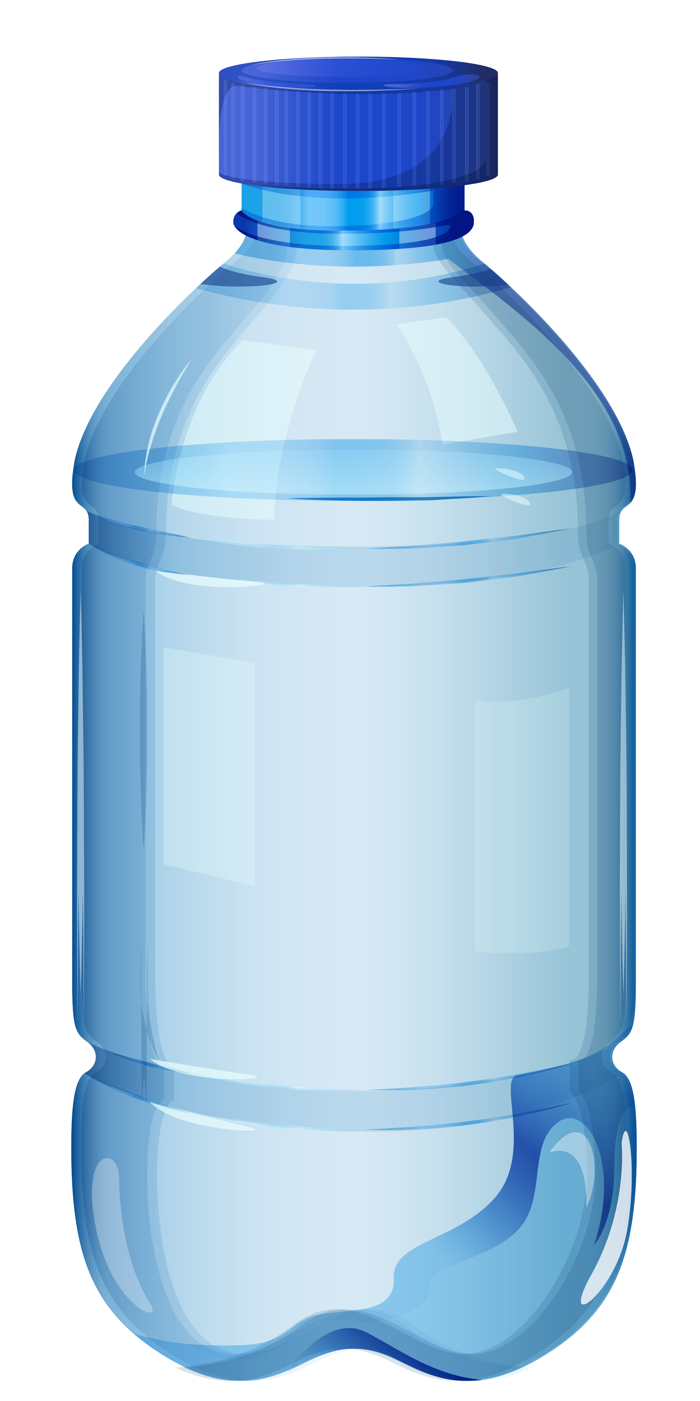 Plastic bottle